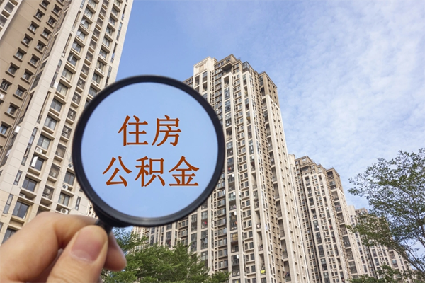 柳林怎么把公积金全部取出来（如何将公积金全部取出）